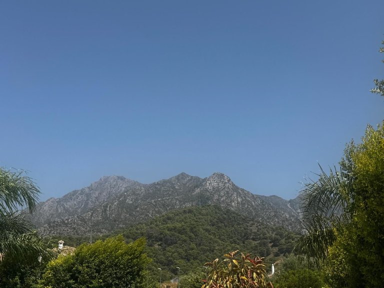 Villa for Sale in Marbella, Malaga 29
