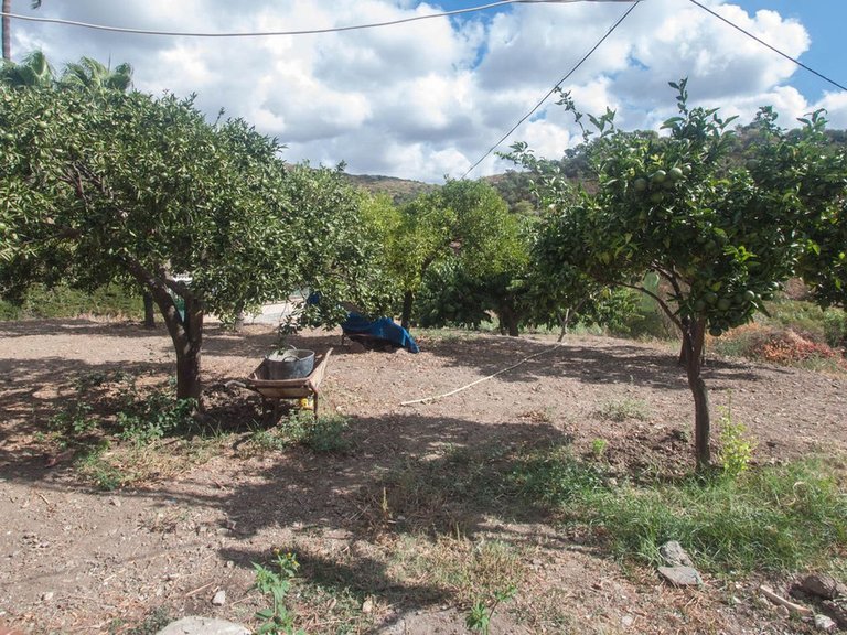 Villa for Sale in Estepona, Malaga 19