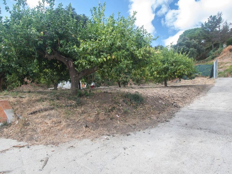 Villa for Sale in Estepona, Malaga 23