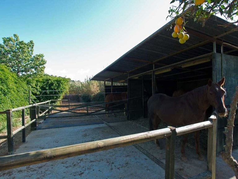 Country House for Sale in Estepona, Malaga 10