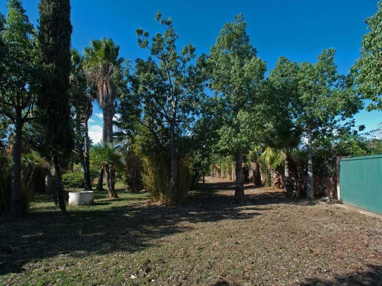 Country House for Sale in Estepona, Malaga 20
