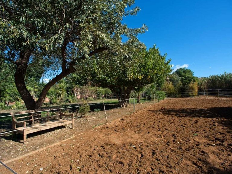 Country House for Sale in Estepona, Malaga 21