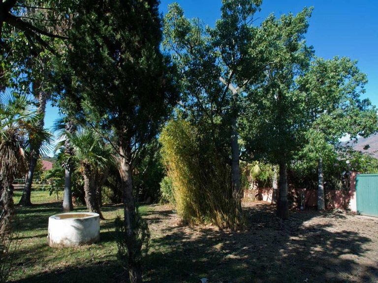 Country House for Sale in Estepona, Malaga 23