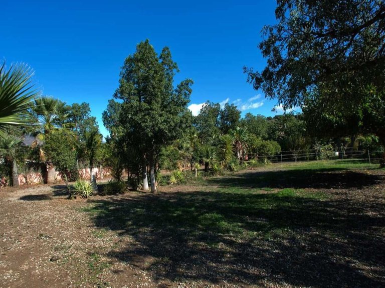 Country House for Sale in Estepona, Malaga 9
