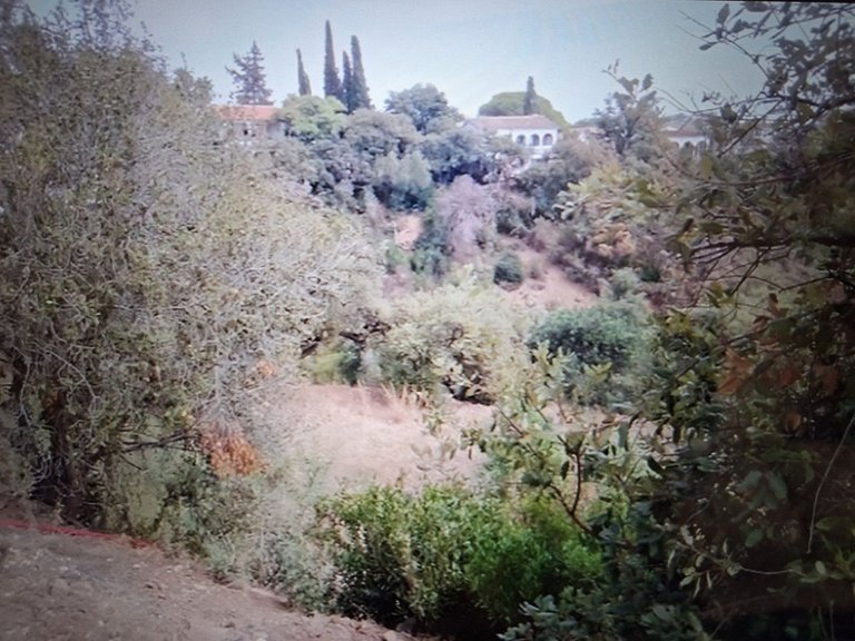 Plot for Sale in Elviria, Malaga 7