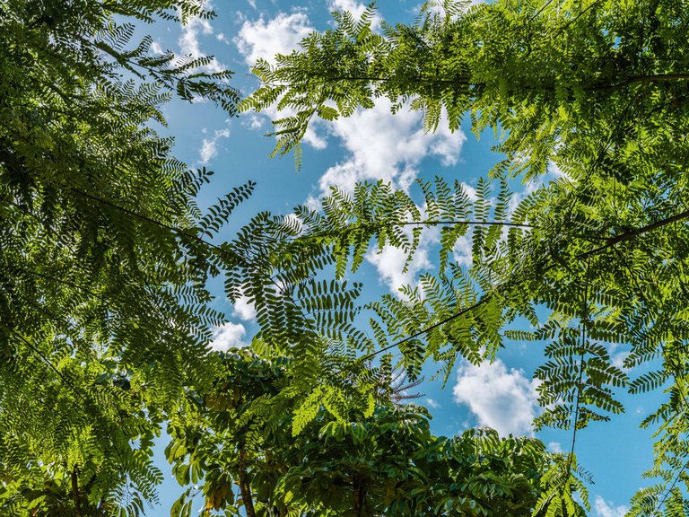 Apartment for Sale in The Golden Mile, Malaga 29