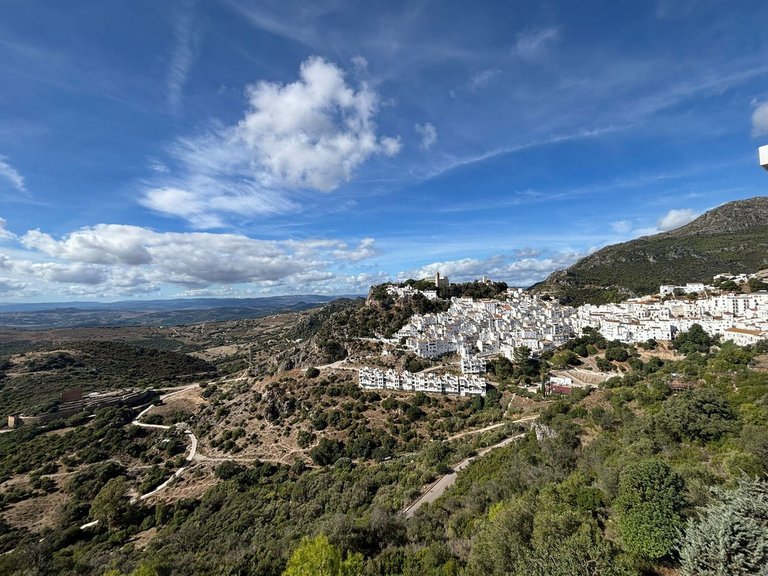 Villa for Sale in Casares, Malaga 44