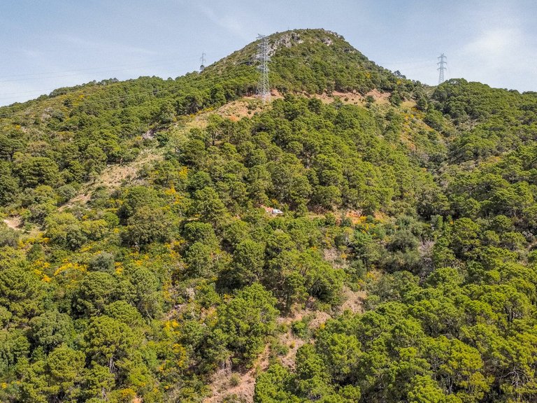 Plot for Sale in Benahavís, Malaga 10