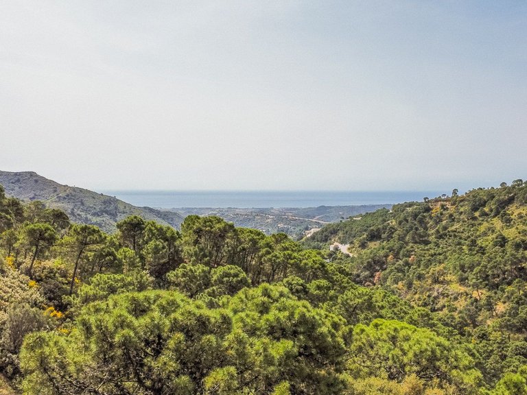 Plot for Sale in Benahavís, Malaga 3
