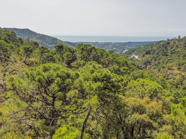 Plot for Sale in Benahavís, Malaga 5