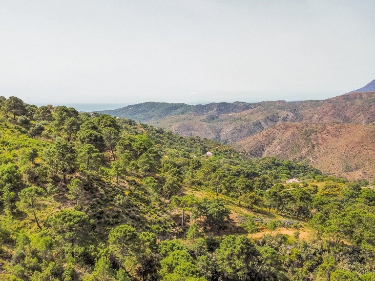 Plot for Sale in Benahavís, Malaga 6