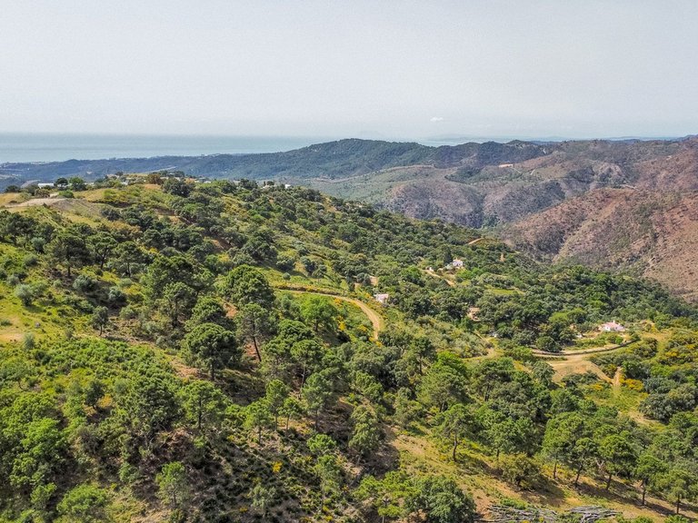 Plot for Sale in Benahavís, Malaga 7