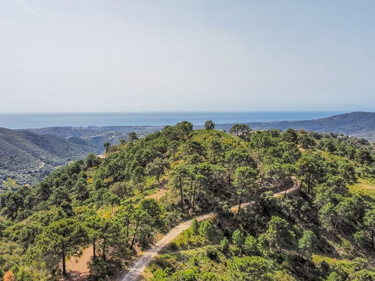 Plot for Sale in Benahavís, Malaga 8