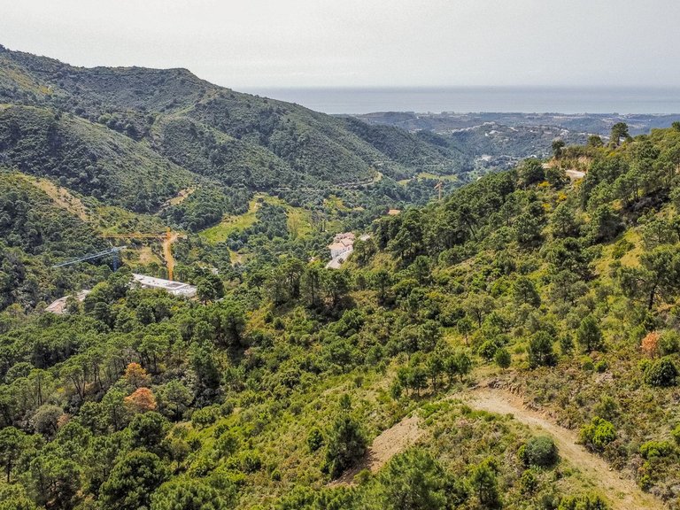Plot for Sale in Benahavís, Malaga 9
