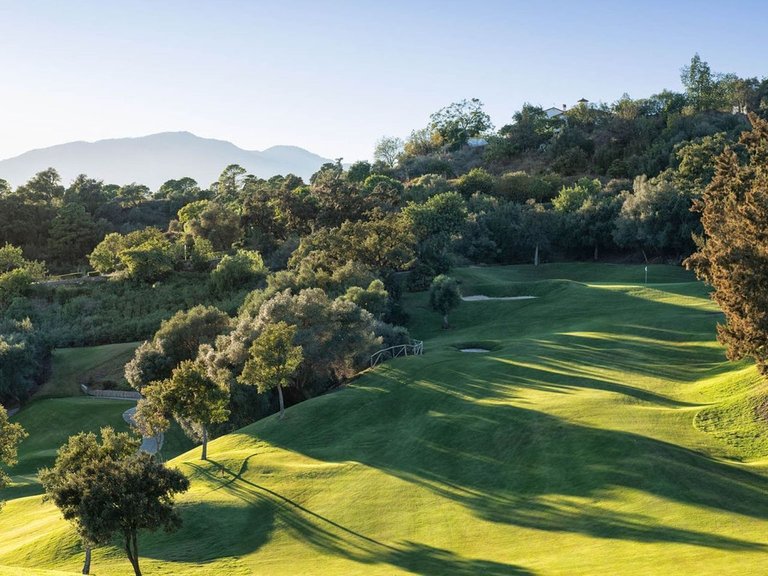 Plot for Sale in Benahavís, Malaga 20