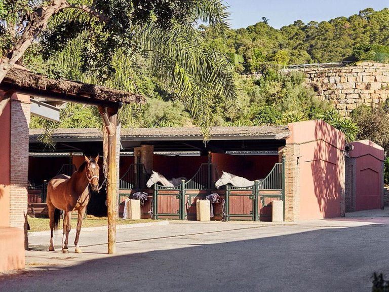 Plot for Sale in Benahavís, Malaga 21