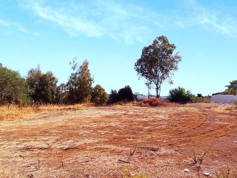Plot for Sale in La Quinta, Malaga 1