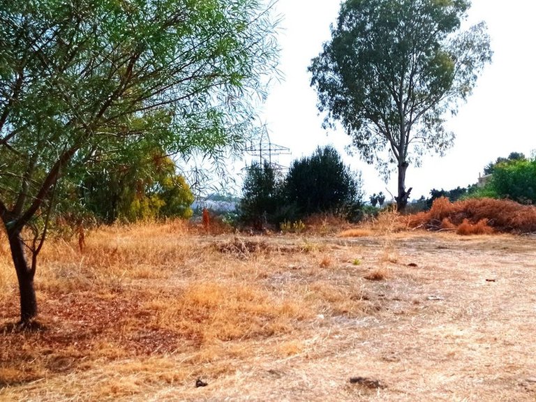 Plot for Sale in La Quinta, Malaga 2