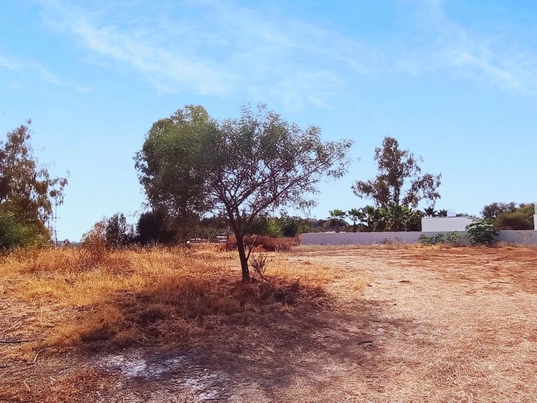 Plot for Sale in La Quinta, Malaga 4