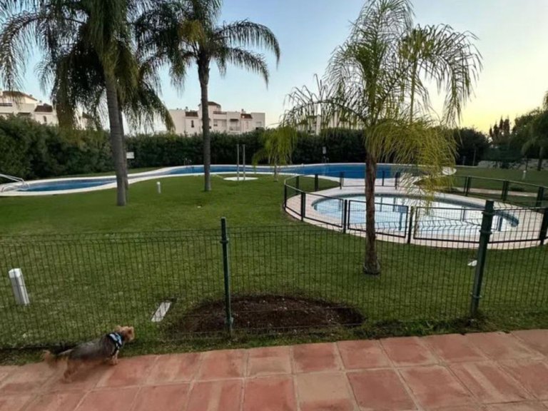 Apartment for Sale in Nueva Andalucía, Malaga 12