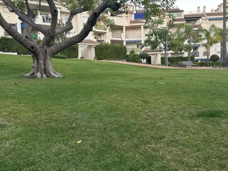 Apartment for Sale in Nueva Andalucía, Malaga 13