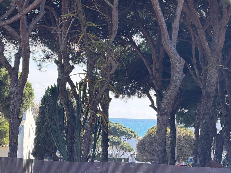Plot for Sale in Costa del Sol Calahonda, Malaga 10