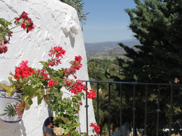 Villa for Sale in Alhaurín El Grande, Malaga 37