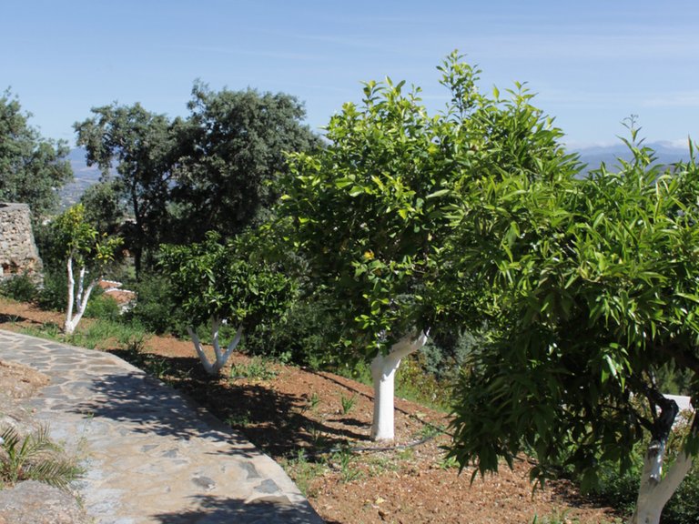 Villa for Sale in Alhaurín El Grande, Malaga 41