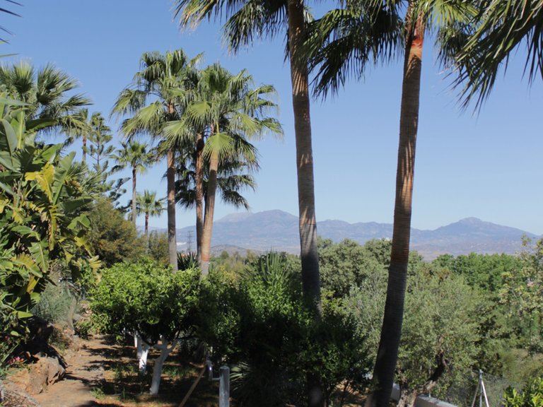 Villa for Sale in Alhaurín El Grande, Malaga 43