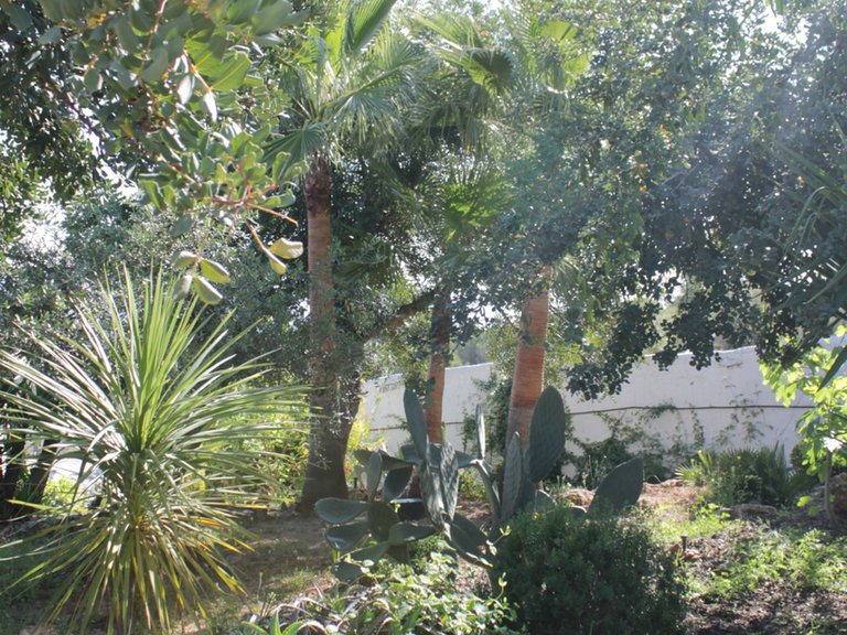 Villa for Sale in Alhaurín El Grande, Malaga 49