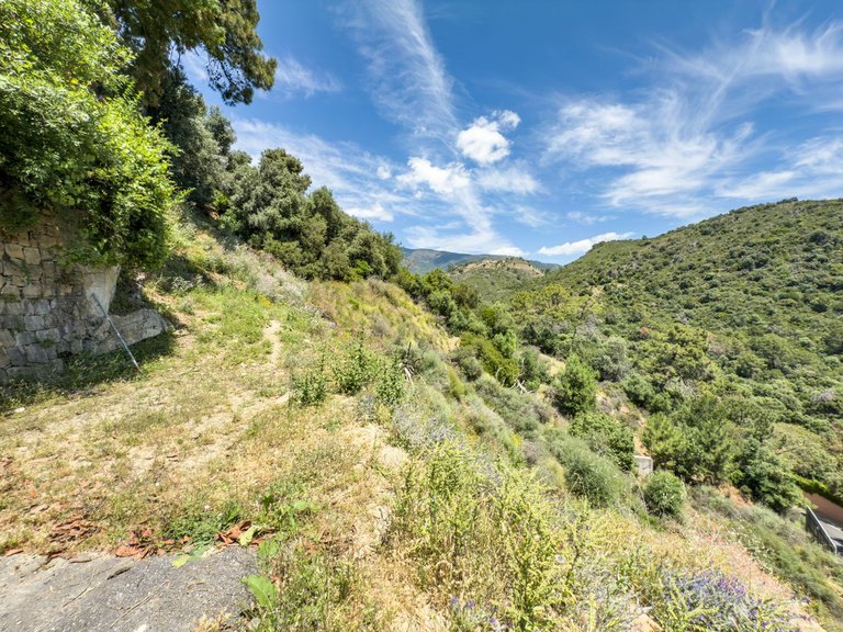 Plot for Sale in Benahavís, Malaga 2