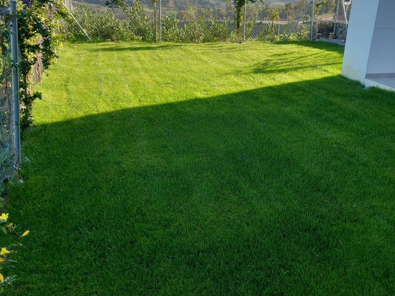 Apartment for Sale in Costa del Sol, Calanova Golf, Malaga 13