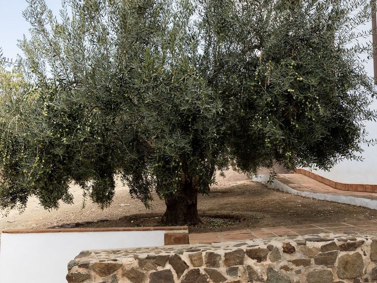 Villa for  in Málaga, Malaga 30
