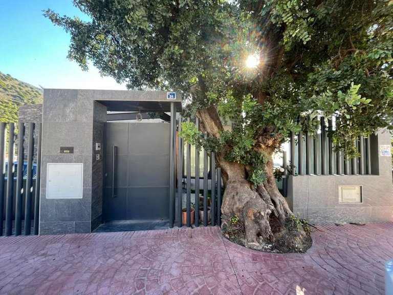 Villa for Sale in Benalmadena, Malaga 24