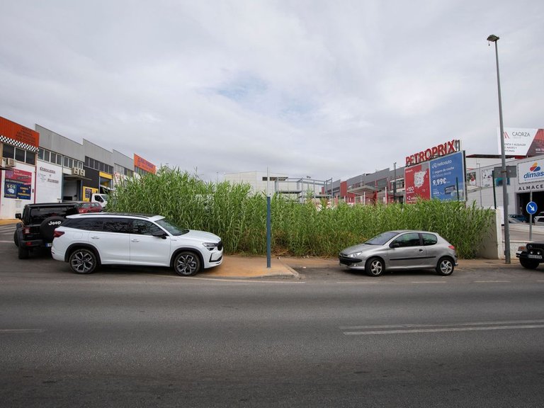 Plot for Sale in San Pedro De Alcántara, Malaga 9