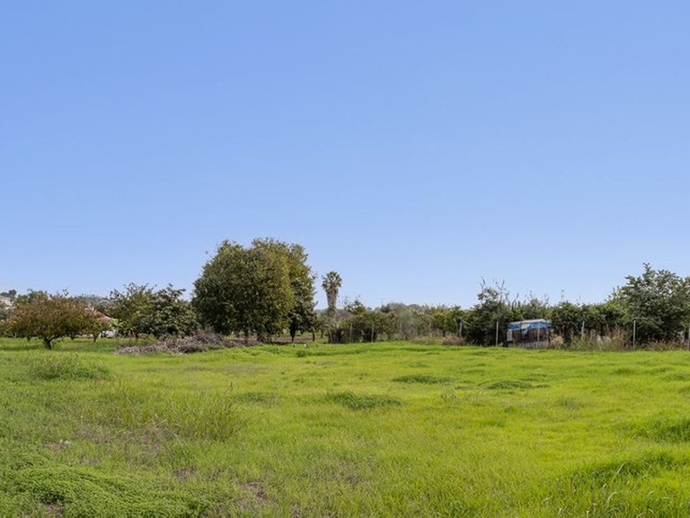 Plot for Sale in San Pedro De Alcántara, Malaga 19