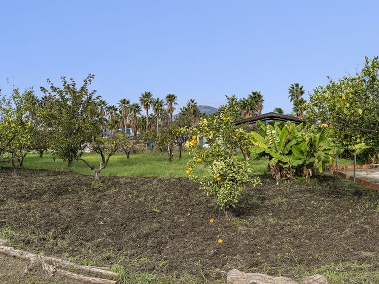 Plot for Sale in San Pedro De Alcántara, Malaga 21