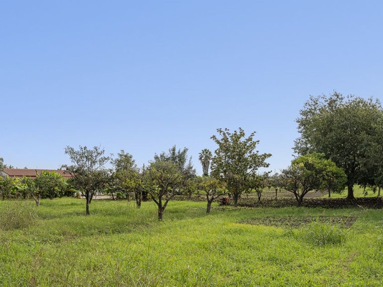 Plot for Sale in San Pedro De Alcántara, Malaga 8