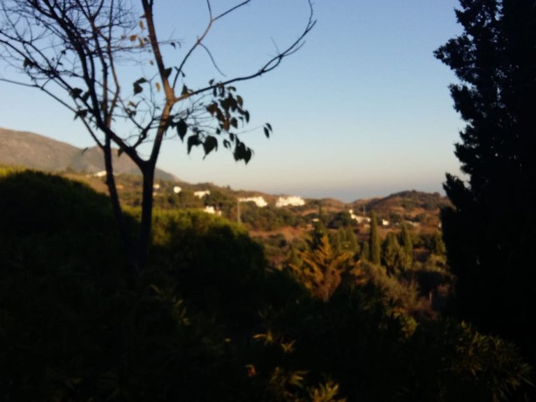 Villa for Sale in Mijas, Malaga 15