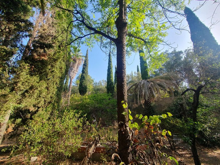 Villa for Sale in Mijas, Malaga 19