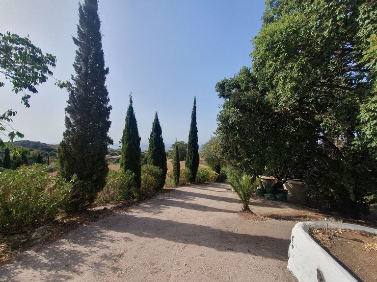 Villa for Sale in Mijas, Malaga 27