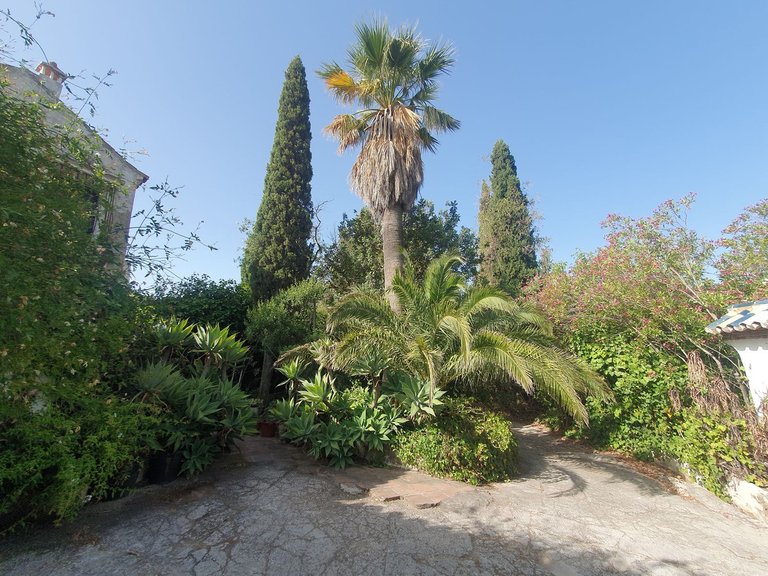 Villa for Sale in Mijas, Malaga 31