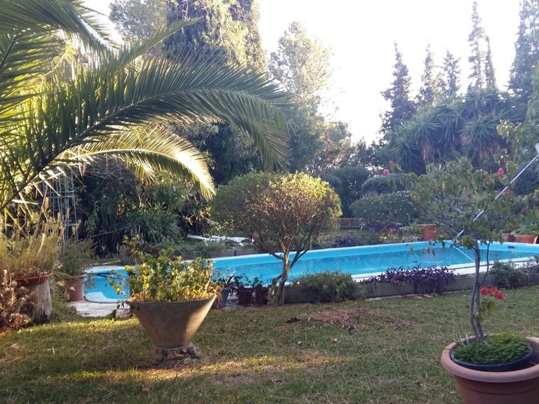 Villa for Sale in Mijas, Malaga 4