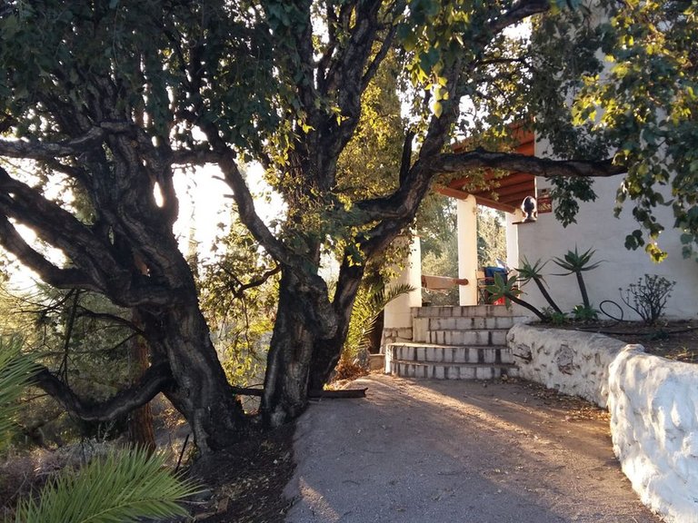 Villa for Sale in Mijas, Malaga 6