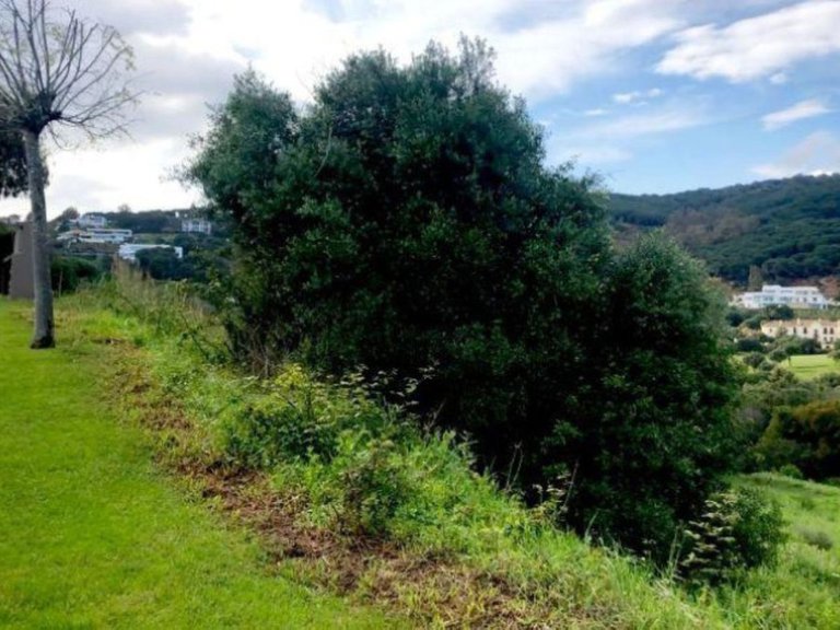 Plot for Sale in Sotogrande, Malaga 5