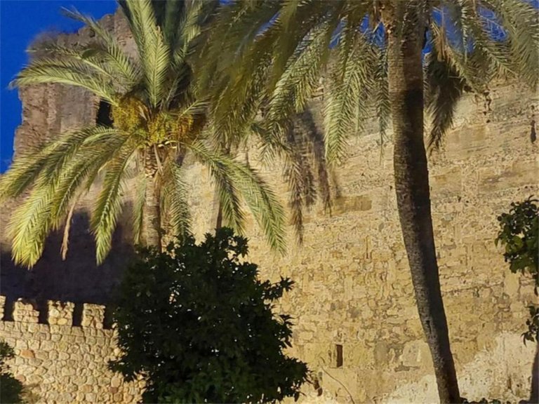 Plot for Sale in Marbella, Malaga 4