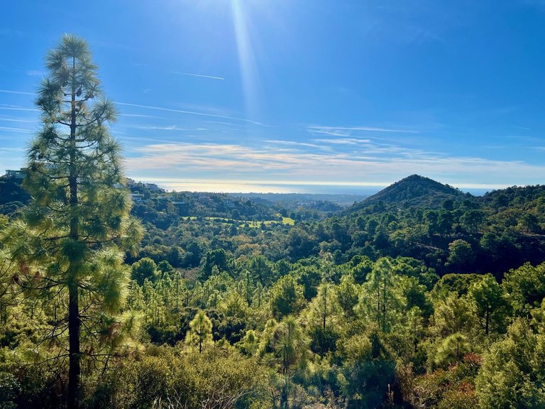 Plot for Sale in Benahavís, Malaga 1