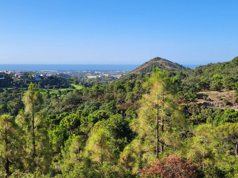 Plot for Sale in Benahavís, Malaga 2
