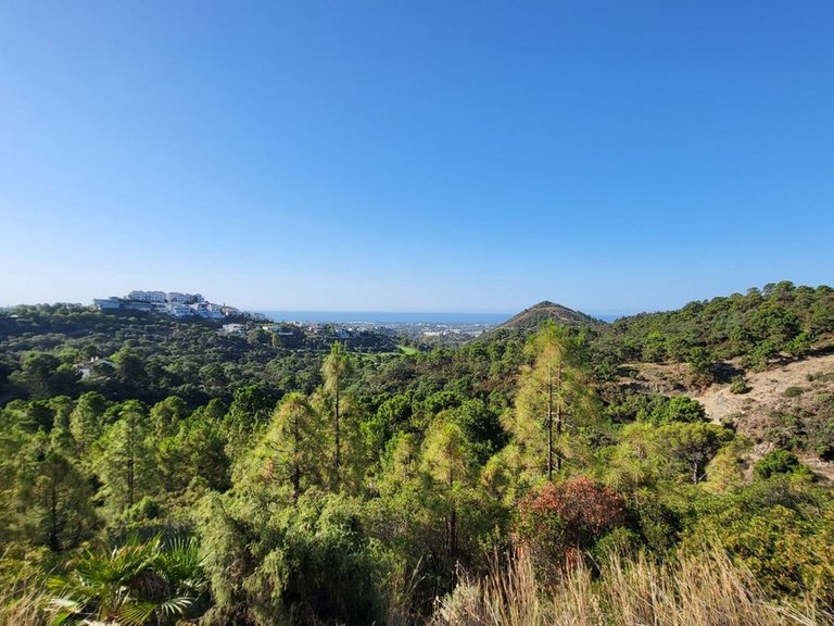 Plot for Sale in Benahavís, Malaga 3