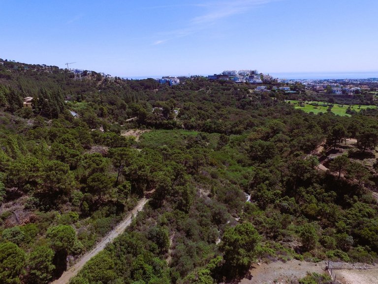 Plot for Sale in Benahavís, Malaga 5